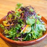 Leaf salad with homemade dressing