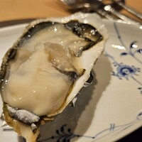GONIA KURAMAE - 