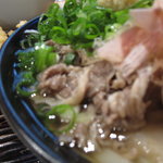 うどん 丸香 - 肉うどんアップ