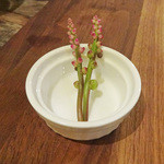 ビストロ　アンコニュ - ツルムラサキの花〜 ♡