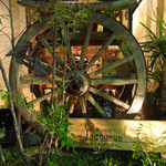 ビストロ　アンコニュ - ビストロ・アンコニュ