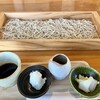 蕎麦きり風土 - 料理写真:大根おろしのそばきり　大盛