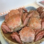 いたこ丸 - お土産販売