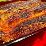 炭焼うな富士 - 上うな重