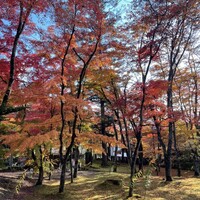 クレソン リバーサイド ストーリー 旧軽井沢 - 