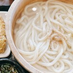 Marugame Seimen - 