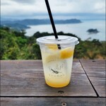 淡路牛肉巻きハンバーグ 今日は肉の日 - 島レモンスカッシュ 600（税込）