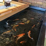 稲取銀水荘 - ロビー入り口に鯉がたくさんいます。100円で餌をあげるのが定番