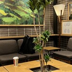 スターバックス コーヒー - 