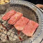 (卸)精肉店直送 たれ焼肉と※ - 