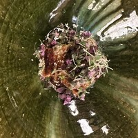 銀座 四代目 高橋屋 銀座店 - 