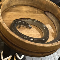 銀座 四代目 高橋屋 銀座店 - 