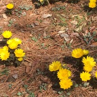 ブッフェダイニング プリンスマルシェ - 