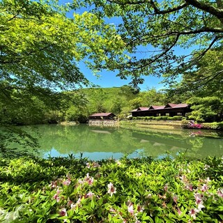 しい茸園 有馬富士_0