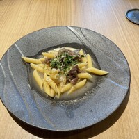SCALAE - 