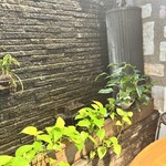 FUKATSU COFFEE 則松 - 