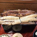 にょろ助 渋谷東店 - 