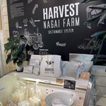 HARVEST NAGAI FARM - 