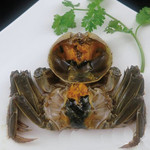 上海朱峰 - 【１１月～１２月２カ月間限定】大阪では非常に珍しい、[上海蟹紹興酒漬]！上海蟹をまるまる紹興酒に付け込んでお召し上がりいただく上海では定番の蟹料理は他ではない絶品のお味。