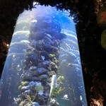 レインフォレストカフェ・トーキョー - 