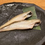 産直さばと青魚 伏見あおい - 