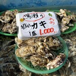 共栄丸水産 - 1カゴ 9個入って1,000円税込