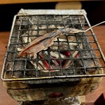 どぜう・四季料理 やぶや - 卓上七輪で炙って頂くホタルイカの干物。