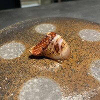 鮨 ともあき - 