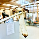 松茸山 丸光園 - かさのところが好き❤️ byまみこまみこ