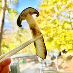 松茸山 丸光園 - 焼き松茸と景色　ワタクシの席は　左から2番目の窓側でした〜　偶然ですが　byまみこまみこ