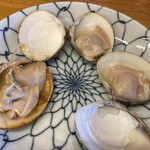 マイアミ貝新 - 