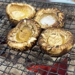 樋山 - 傘の部分の焼き松茸。松露もたっぷり。
