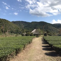 伊勢宮川の里 鄙茅 - 