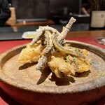 イル アオヤマ - 