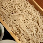 Tenryuu Soba Shoufuuan - 