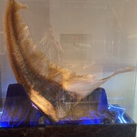 中国飯店 三田店 - 