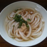 手打うどん 松岡 - かけ小（そのまま）