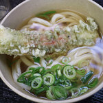 Kinosaki Udon - かけ310円＋磯辺揚げ120円