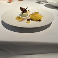 Benoit Alain Ducasse - 