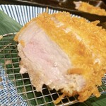 Tonkatsu Kushiage Yuuzen - 