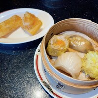 龍天門 - 蒸し点心四種&焼き又は揚げ点心二種