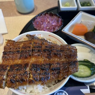 うなぎ家 はせ川本店_0