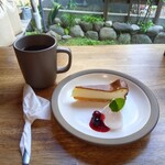 TAYORI - コーヒーとチーズケーキ(ハーフ)