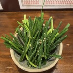 赤羽 もつ焼のんき - やみつきネギサラダ