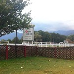 グラスハウス - ミニドッグラン