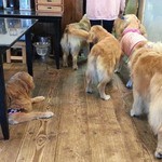 グラスハウス - 食事中も癒やしてくれます