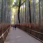 リョウリヤ ステファン パンテル - 嵐山 竹林の小径