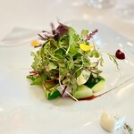 オトワ レストラン - 栃木旬野菜/ アプリコット・カリフラワー・ビーツのソース