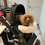 TASTY PLACE THE DINING - この日はバギーで♪