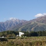 グラスハウス - 散歩の途中で　道に迷うと大変です